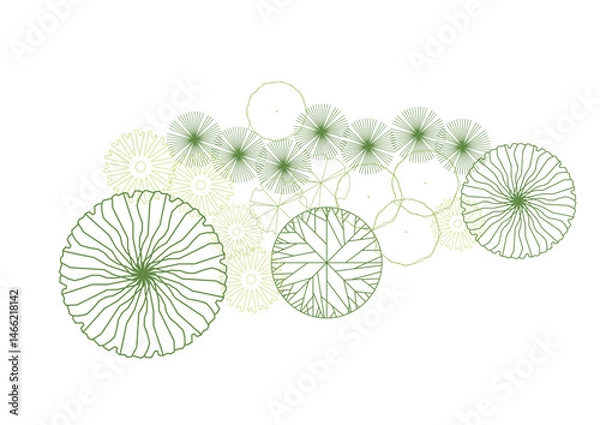 Obraz architecture drawing plant tree top view plan greenery vegetation vector. design nature architectural landscape set element illustration bush garden flora sapling minimal. architect isolated.