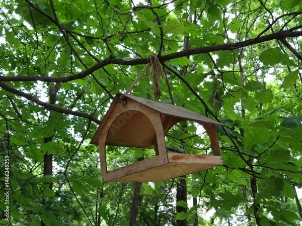 Obraz Wooden birdhouse hanging on oak branch. Oak branches with green leaves in spring in park 