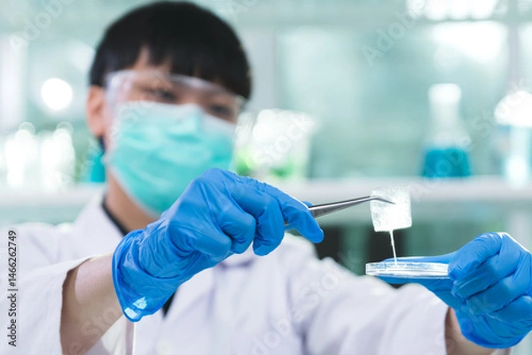 Fototapeta Scientist conducts an experiment using biotechnology to test an organic aloe vera beauty serum under a microscope for a new cosmetic product, Laboratory and skincare concept