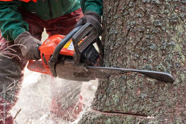 Obraz Forstarbeiter beim Baumfällen