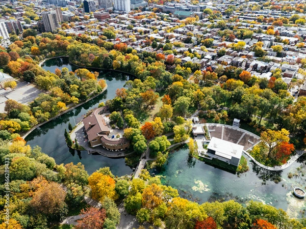 Fototapeta A public park, autumn leaf color change, buildings skyscrapers downtown in the background.