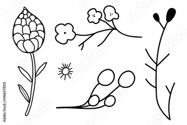Obraz Set of five natural icons isolated on  white background. In  black and white version of  plant. Environment, nature, flora. Decoration for postcards, posters, business cards, invitations.