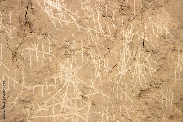 Fototapeta the countdown of days is scratched on the sand wall