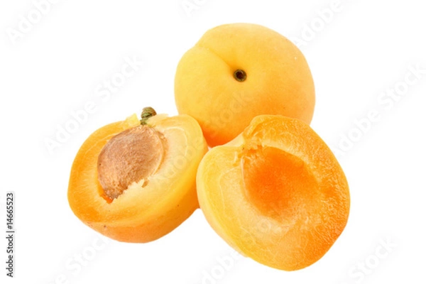 Obraz Aprikosen