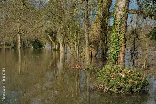 Obraz rivière en crue