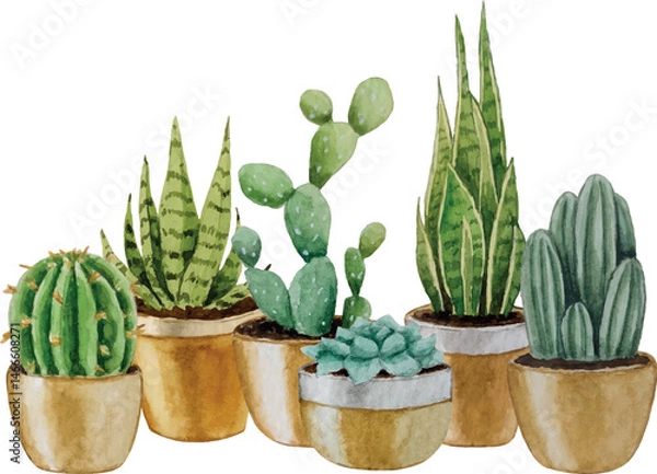 Obraz Vector composition of cacti and succulents. Watercolor illustration. White background. For design, backgrounds