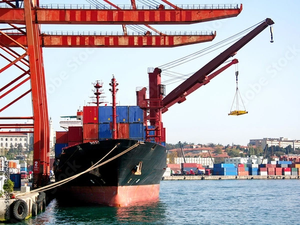 Fototapeta A cargo ship under container cranes