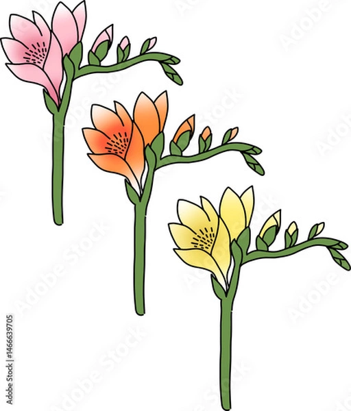 Fototapeta colorful flowers drawing minimal style, vector.