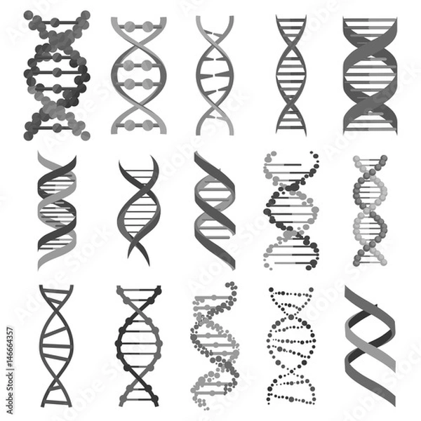 Fototapeta DNA molecule sign set, genetic elements and icons collection strand. 