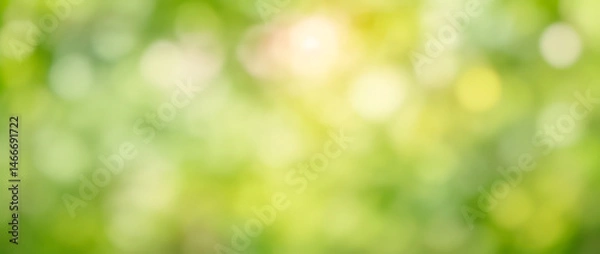 Fototapeta Abstract blurred green and yellow background with bokeh effect and soft light.