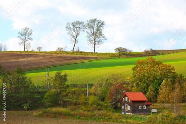 Fototapeta 赤い屋根の家