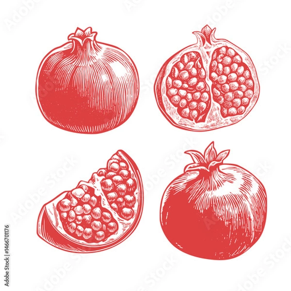 Fototapeta Hand-drawn pomegranate fruit set. Vintage style illustration showing whole, half, and sliced pomegranates with detailed seeds. Perfect for packaging, menus, and prints.