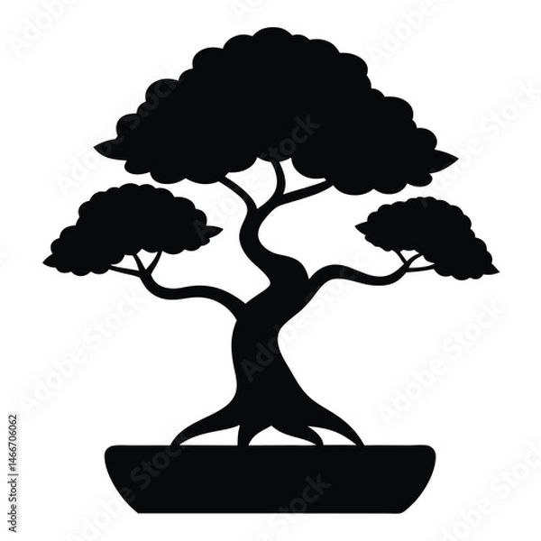 Fototapeta bonsai tree isolated on white