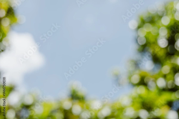 Obraz Abstract nature bokeh background of lush green