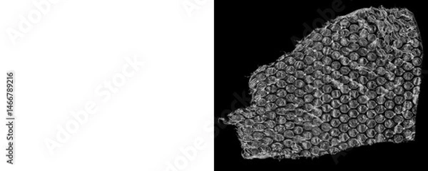 Fototapeta Bubble Wrap With High Detail Plastic Air Cells on a Transparent or White Background