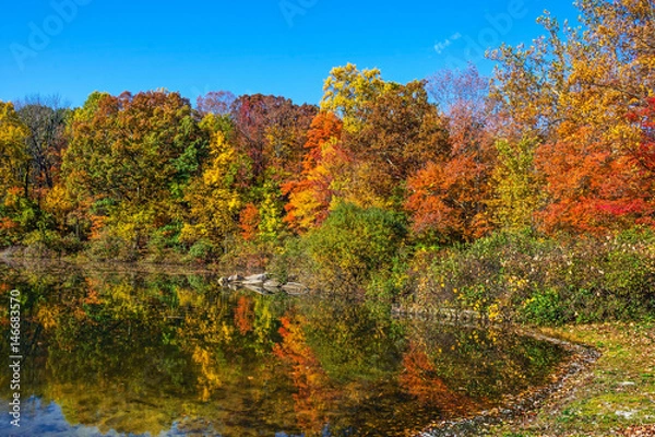 Fototapeta Reflections George Lake
