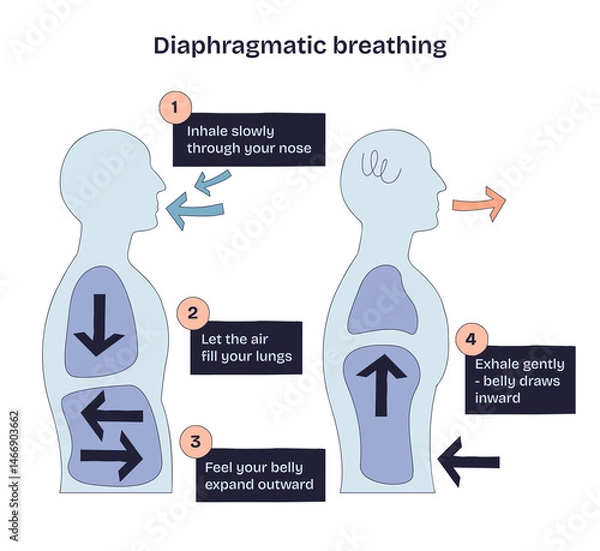 Obraz Diaphragmatic breathing shows airflow, lung expansion, and belly movement to explain deep breathing technique. Doodle style diagram