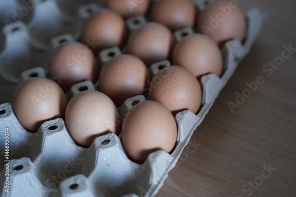 Obraz Brown chicken eggs neatly arranged in a paper tray, ready for cooking