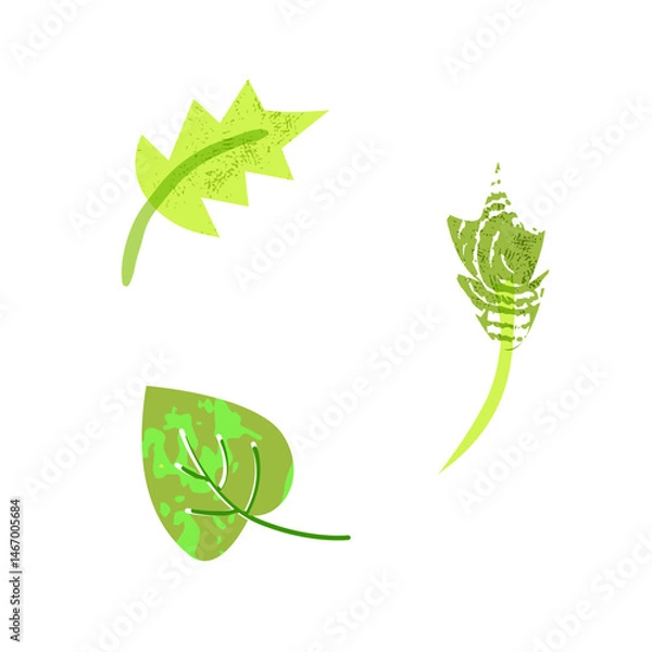Fototapeta Set of abstract leaves with textures in trendy hand drawn style. Vector isolated elements on white background. Botanical illustration