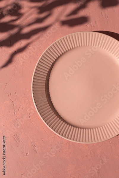 Obraz Empty ceramic plate on the mediterranean pink terracotta color plaster background with leaves shadows. Copy space