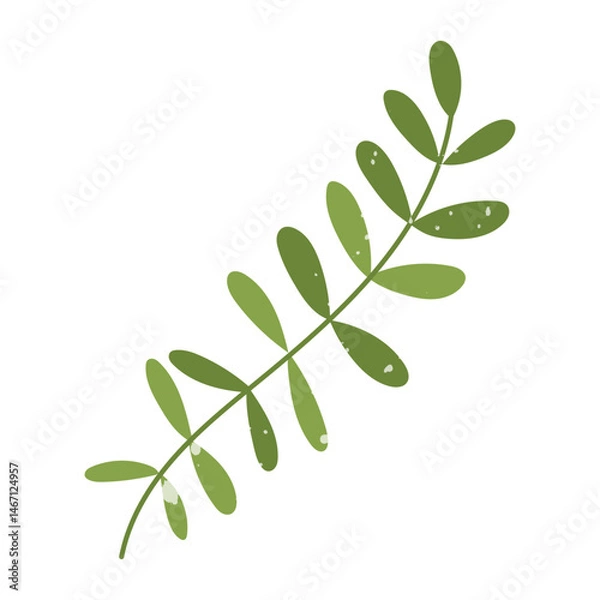 Fototapeta Green robinier leaf with texture. Flat color isolated illustration with doodle elements. Greenery in the garden. Suitable for decorating children's and nature projects, prints, packaging, blogs