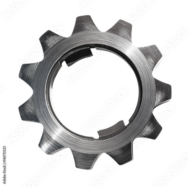 Fototapeta cog isolated on white