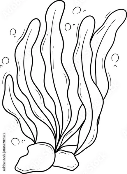Fototapeta seaweed algae cartoon outline