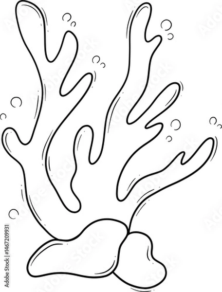 Fototapeta seaweed algae cartoon outline