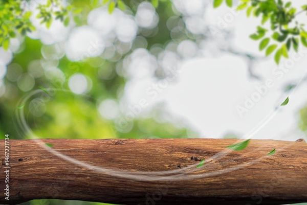Fototapeta Tree trunk on soft green bokeh background..