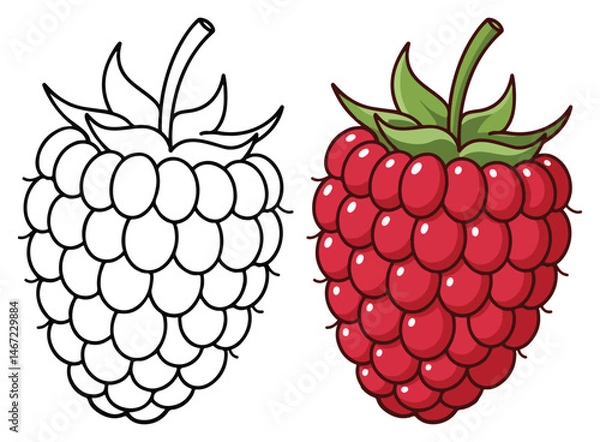Obraz Raspberry Line Art Vector Outline Illustration Black and White with Coloring Sample. Bold and Easy Food, Fruits, Sweets, Drinks, Dessert, and Snacks Coloring Pages for Adults, Kids, and Toddlers