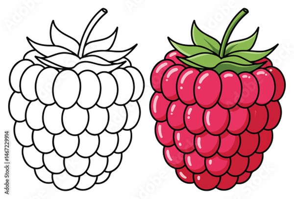 Obraz Raspberry Line Art Vector Outline Illustration Black and White with Coloring Sample. Bold and Easy Food, Fruits, Sweets, Drinks, Dessert, and Snacks Coloring Pages for Adults, Kids, and Toddlers