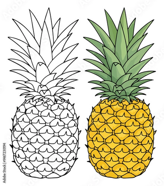 Obraz Pineapple Line Art Vector Outline Illustration Black and White with Coloring Sample. Bold and Easy Food, Fruits, Sweets, Drinks, Dessert, and Snacks Coloring Pages for Adults, Kids, and Toddlers