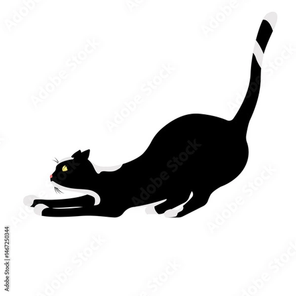 Obraz A black cat with white spots stretches, isolated on a white background.Vector illustration of a pet.