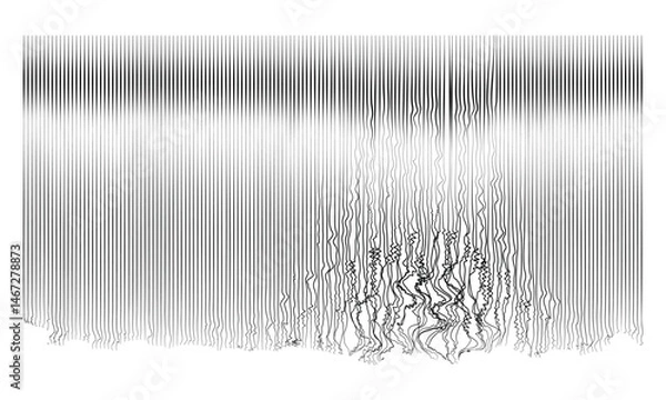 Fototapeta The unraveling fabric of structure: an abstract vector depiction of distorted vertical lines descending into chaotic undulation.