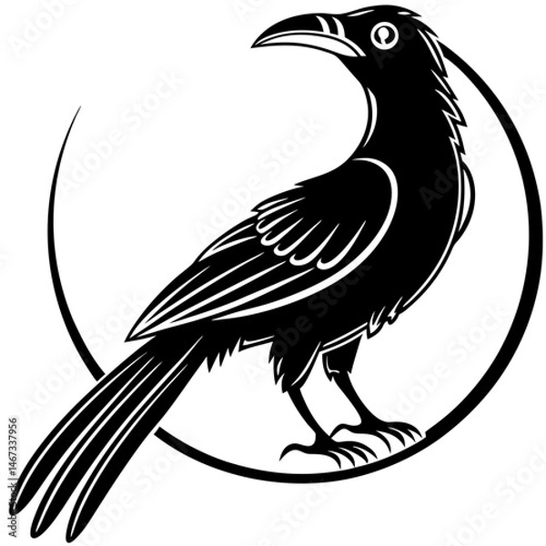 Fototapeta koel bird silhouette