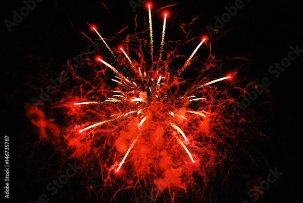 Obraz Fireworks