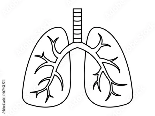 Obraz Hand drawn cute outline illustration of lungs. Flat vector respiratory internal organ line art doodle. Pulmonary system. Health care sticker, icon. Hospital examination or diagnostic. Isolated.