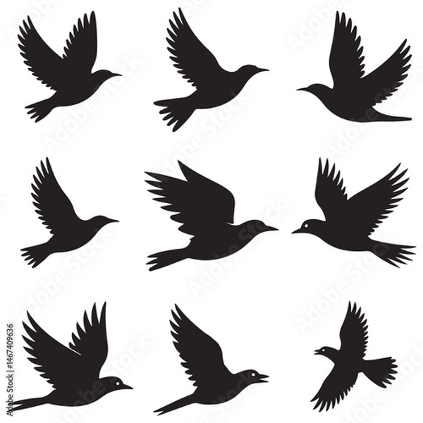 Fototapeta Dynamic Bird Vector Set with Flying, Perching, and Standing Poses in Bold Styles A stunning collection of birds in energetic poses, ideal for creating impactful wildlife and nature designs .Thank You.