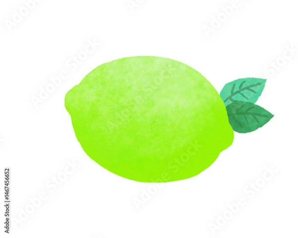 Obraz フレッシュなライムのイラスト