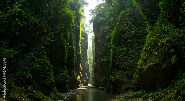 Fototapeta Exploring Lush Green Canyon with Flowing Stream