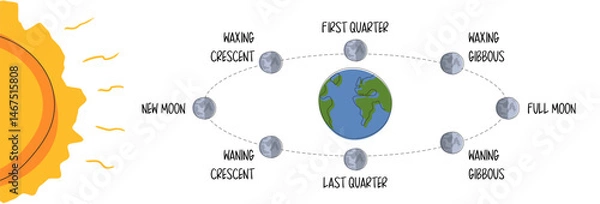 Obraz Lunar Orbit and Eclipse Stages Illustration in flat style on white background. Lunar Shadow Path Diagram. All phases of the moon on the earth orbit