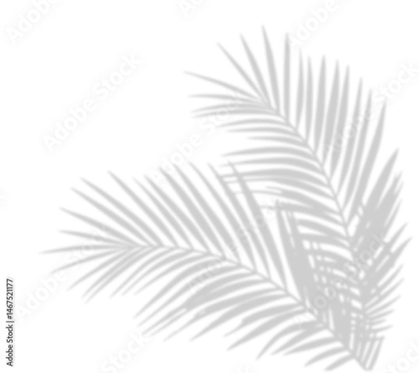 Obraz Tropical palm shadow on a sunny green wall. Soft blurred botanical leaf texture with natural sunlight and jungle foliage. Romantic, spring-themed background with fern silhouette