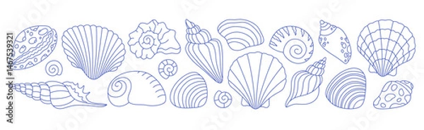 Fototapeta Doodle outline collection of sea shells, mollusks, sea ​​snails. Tropical beach shells. Vector illustration in modern minimal style