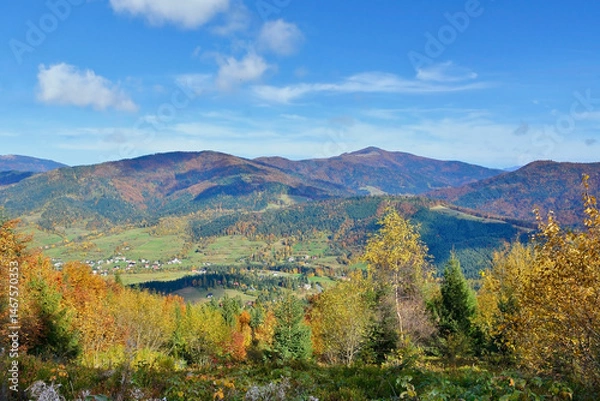 Obraz Picturesque beech, birch and pine forests and  houses in Lubomierz village, against the backdrop of the Beskids are very beautiful with bright colors after a fine day.