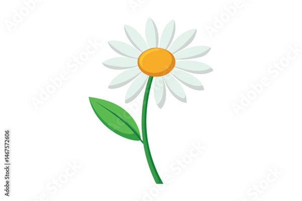 Obraz Daisy with leaves vector illustration on white background