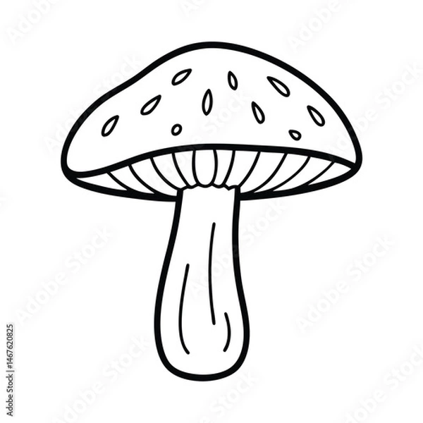 Obraz vector illustration of shiitake mushroom