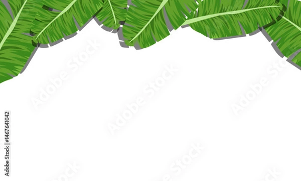 Obraz Nature green banana leaves on white background. banner frame with copy space. floral elegant background.