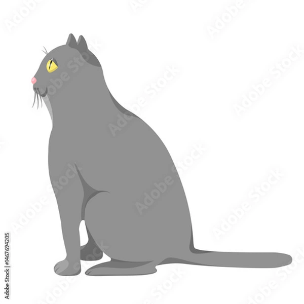 Obraz A grey cat sits isolated on a white background.Vector illustration of a pet.
