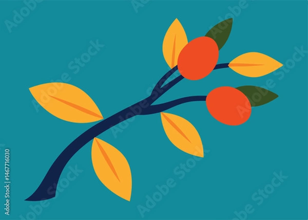 Fototapeta orange-blossom-branch--sholuity-vector-art.eps