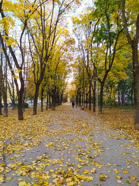 Fototapeta Long perspective of an alley in autumn, blanketed with fallen yellow leaves, lined by trees with golden foliage